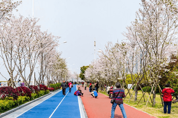 MMA彩色防滑路面